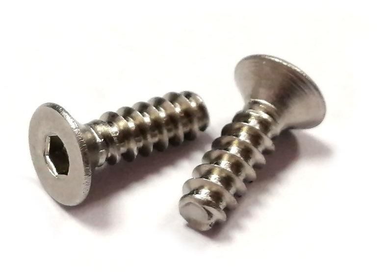 Stainless Steel Flat Countersunk Head Hexagon Socket Allen Self Tapping Screws with Blunt End