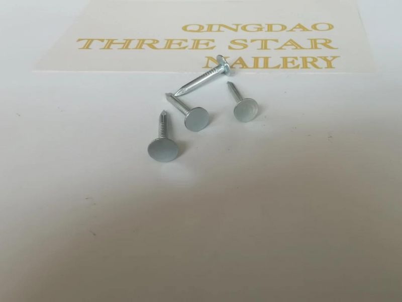 Cheap Price Galvanized Ceiling Nails/Clout Nails/Manufactures Flet Nails