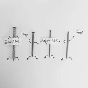 High Quality Polishing/Galvanized Steel Nail (1&quot;-6&quot;)