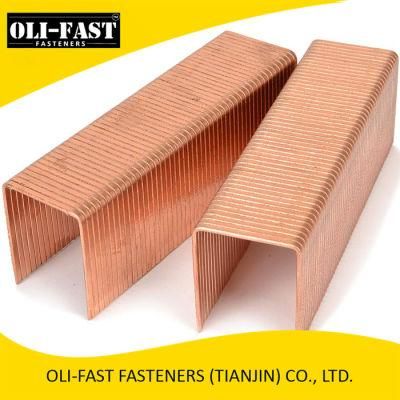 Bostitch Sw9060 Staples for Triple Wall Corrugated Boxes, Liquor Finish (Copper)