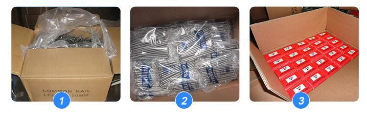 China Factory Common Wood Wire Nails with Good Price