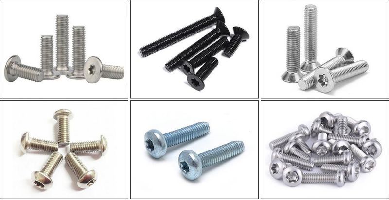 Class 10.9 Quality Plated Socket Pan Head Screw Bolt M6*16 Pan Torx/Torx Screw/Torx Bolts