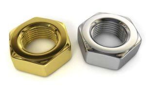 Stainless Steel DIN934 Hex Nut with ISO9001