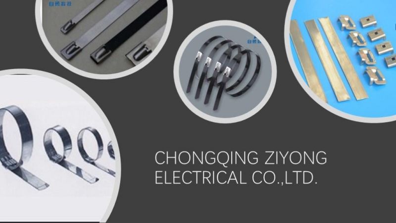 Stainless Steel Cable Tie Bundle Banding Strap