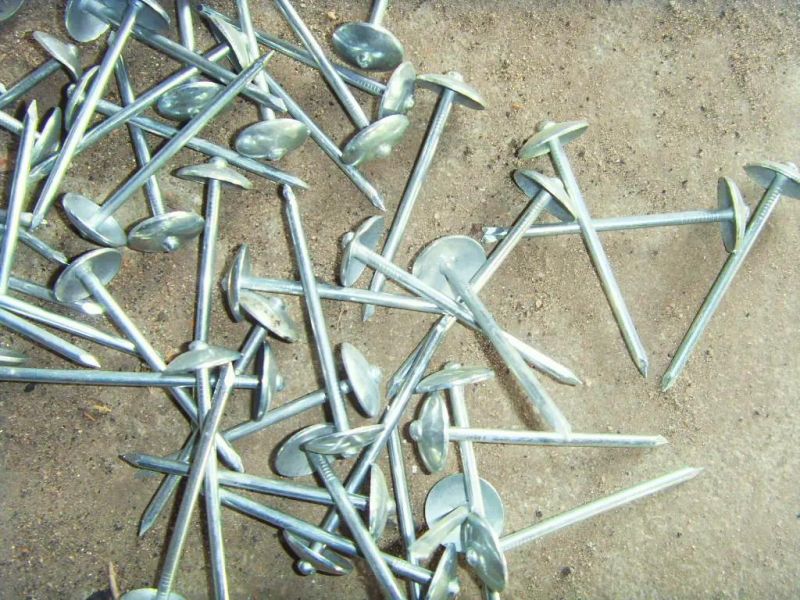 Electro Galvanized Roofing Nail Umbrella Head Zinc Roofing Nail