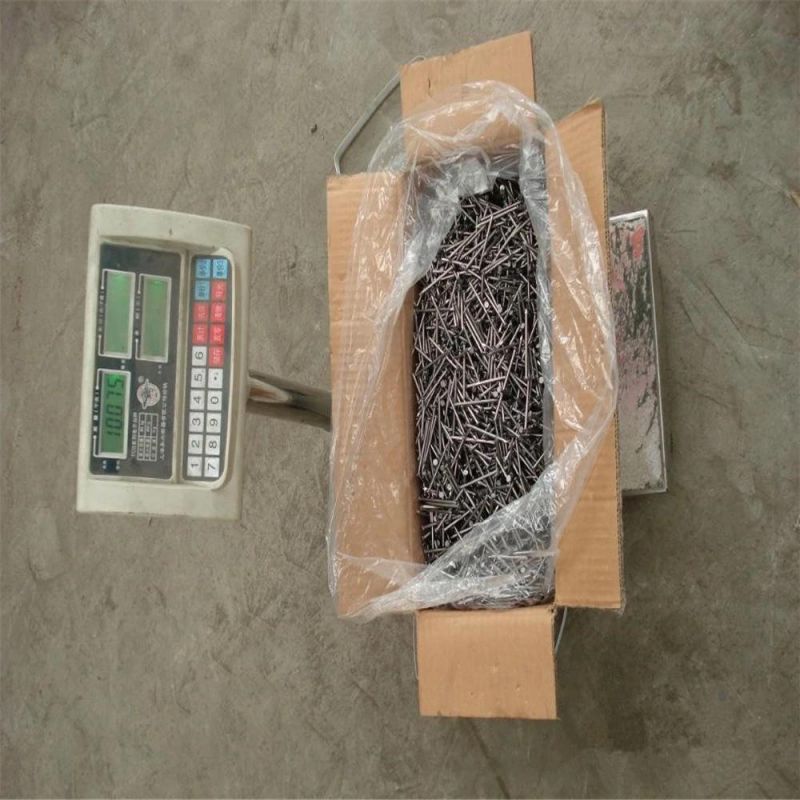 Galvanized Cement Steel Nail Concrete Steel Nail