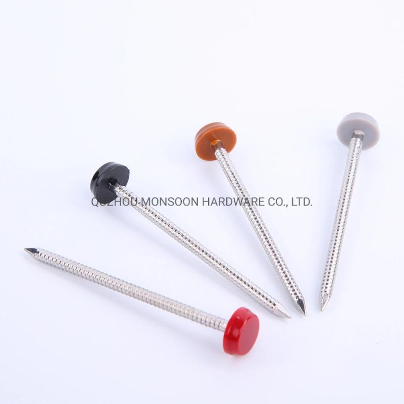 High Quality GB ISO China Nail Polytop Pins with Cheap Price