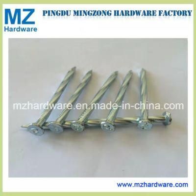 Electro Galvanized Spiral Screw Shank Concrete Steel Nail