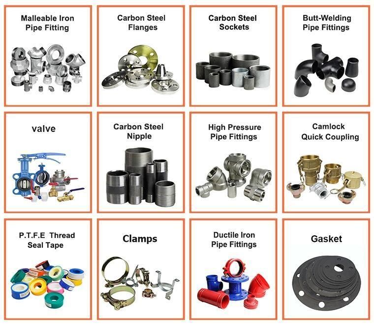 Australia Type Carbon Steel Universal Hose Black End Claw Coupling
