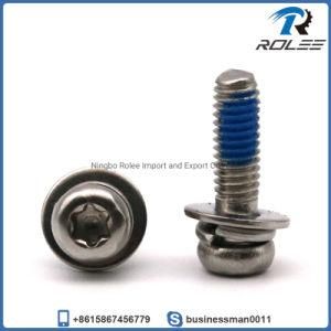 Torx Pan Head Self-Locking Stainless Steel Sems Screw