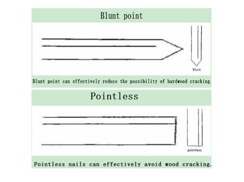 Common Wire Zinc Roofing Finish Coil Nails Concrete Nails
