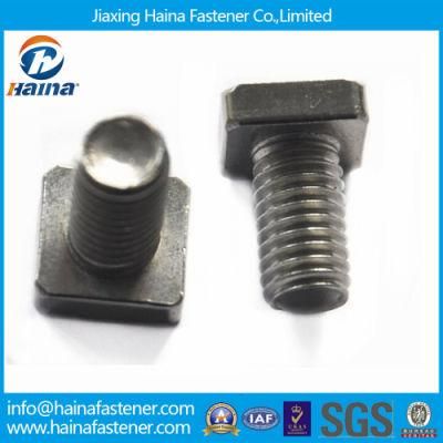 Jiaxing Haina M5 Stainless Steel Square Head Bolt