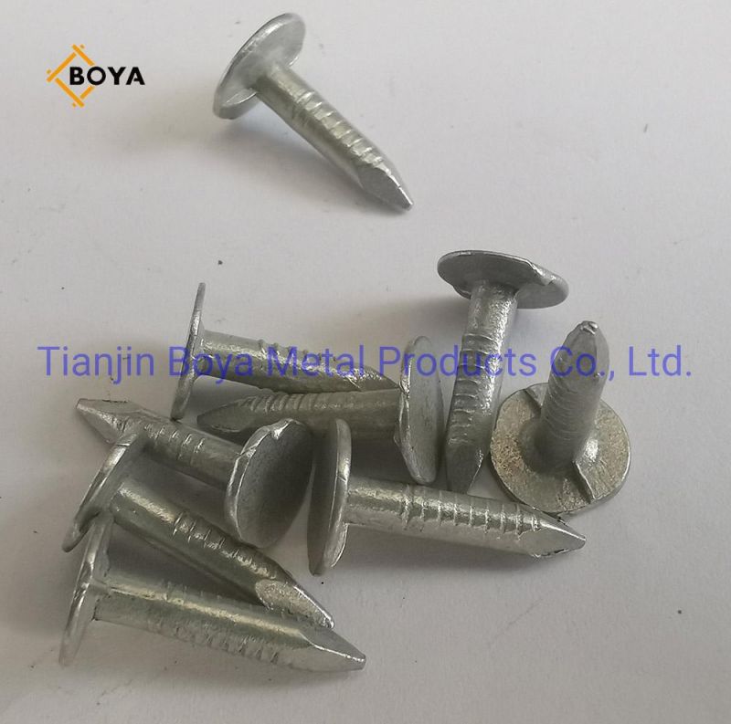 Clouts/Flat Head Nail/ Clout Nail/Big Head Nail