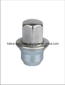 Duplex Bulge Acorn Stainless Steel Capped Nut (7802SS)