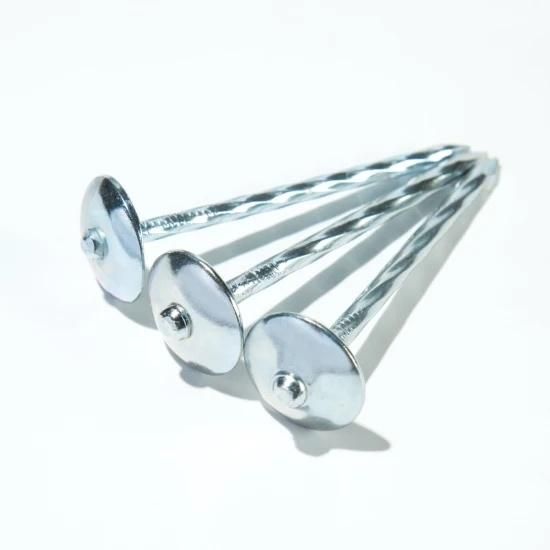 Factory Manufacture Cheap Price 3.125kg/Box 25kg/Carton Bwg10*2.5 and Bwg 12*2 Galvanized Roofing Nail with Unbrella Head for Africa Market