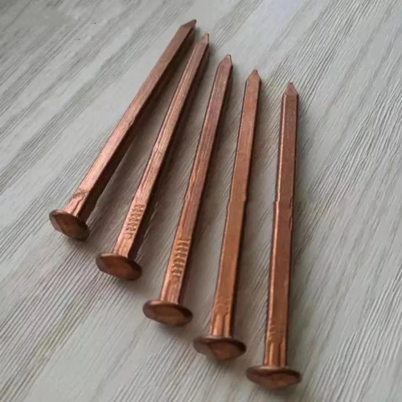 120*7mm Hot DIP Galvanized Boat Nail High Quality More Zinc Coating