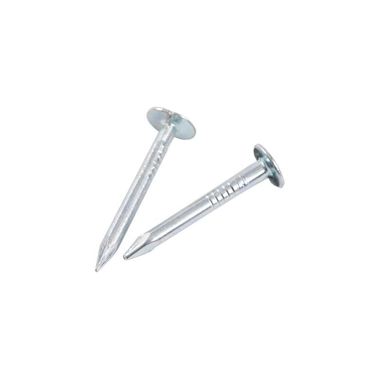 Flat Head Roofing Nails Galvanized Cupper Nails