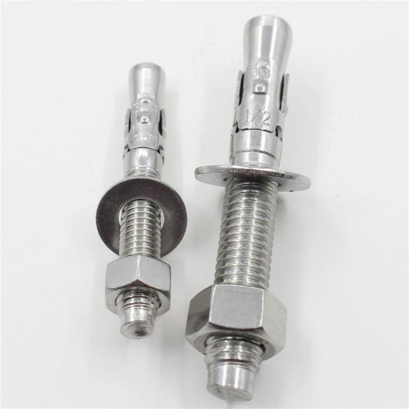 Rts Earth Anchor Stainless Steel SS304 Wedge Hex Bolt Anchors Bolts Manufacturer Wedge Anchor Bolt and Nut