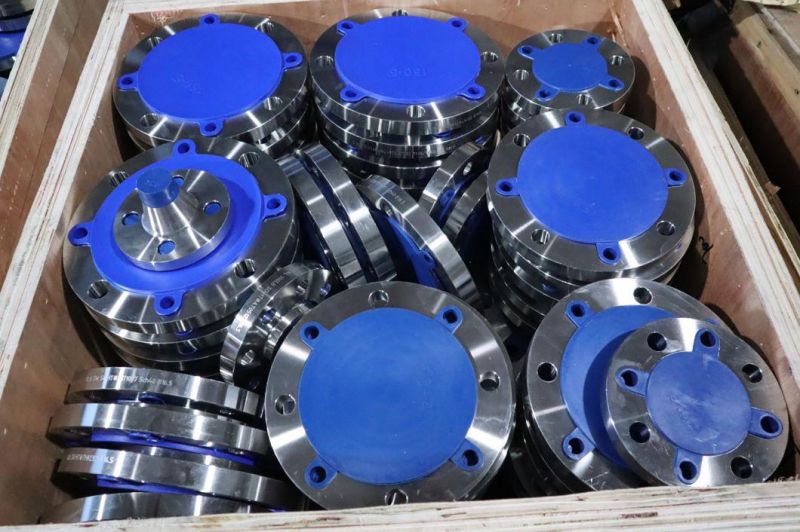 Flange Inox Stainless Steel Weld Neck Flange