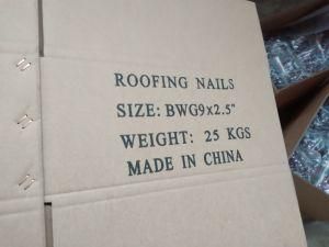 Hot Sale Q195 Umbrella Head Roofing Nail Galvanized Nail