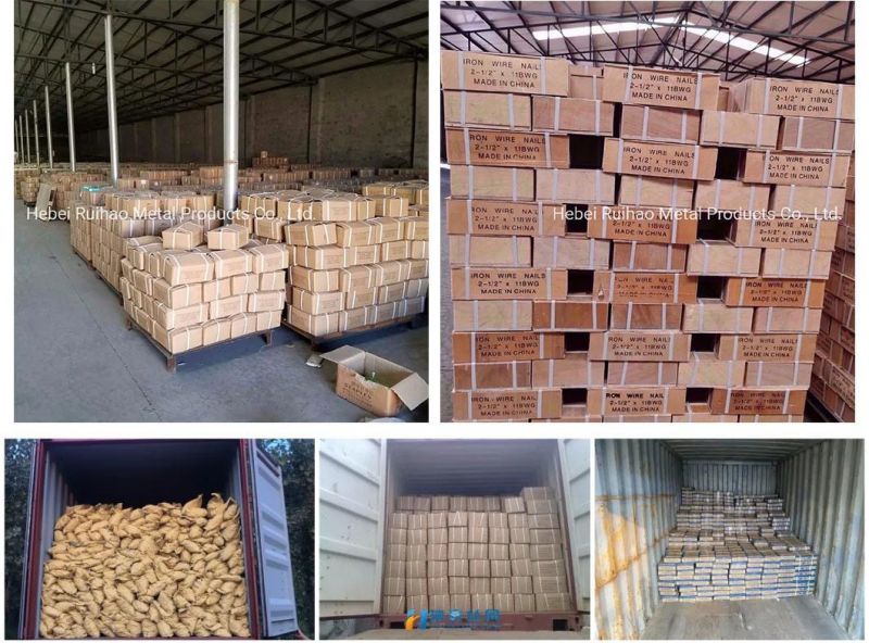 Cheap Price Q195 Common Round Iron Nail/Wire Nail/Building Metal Nail/Iron Nail/Polished Nail/Steel Nails/Wooden Nail/Galvanized Concrete Nail