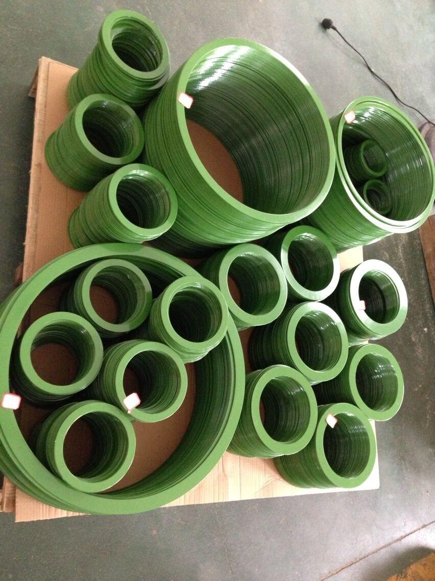 Inner&Outer Ring with Epoxy Coated of Spiral Wound Gasket Sunwell
