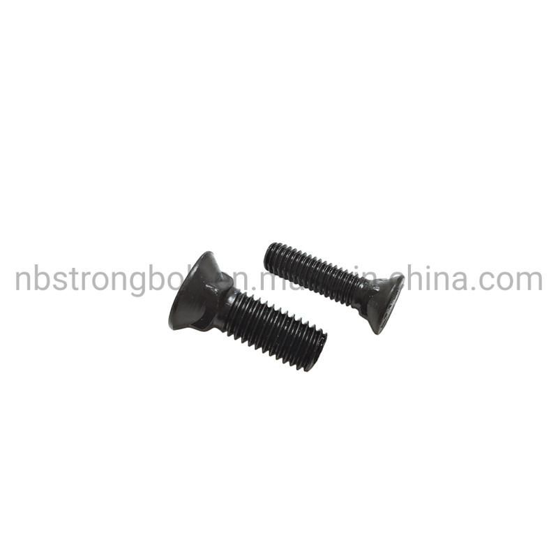 Flat Countersunk Square Neck Bolt Gr. 5