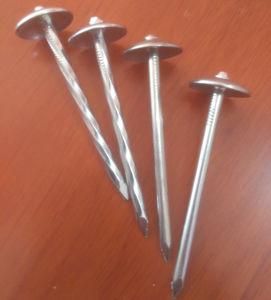 Low Price 2 1/2&quot; X 9g Umbrella Head Plain Twisted Shank Roofing Nail