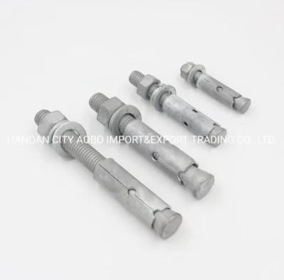 Hot DIP Galvanized Steel 3/4*6 Set Anchor in China Manufacturer