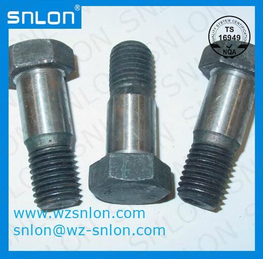 Custom Hex Bolt with Shank Polishing