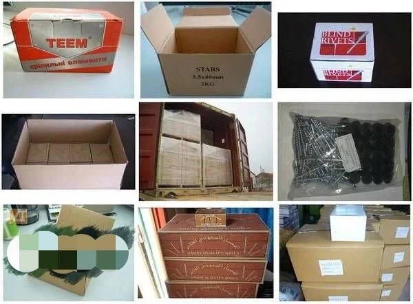 40mm Galvanized Square Shank Twist Nails High Quality to Europe Market