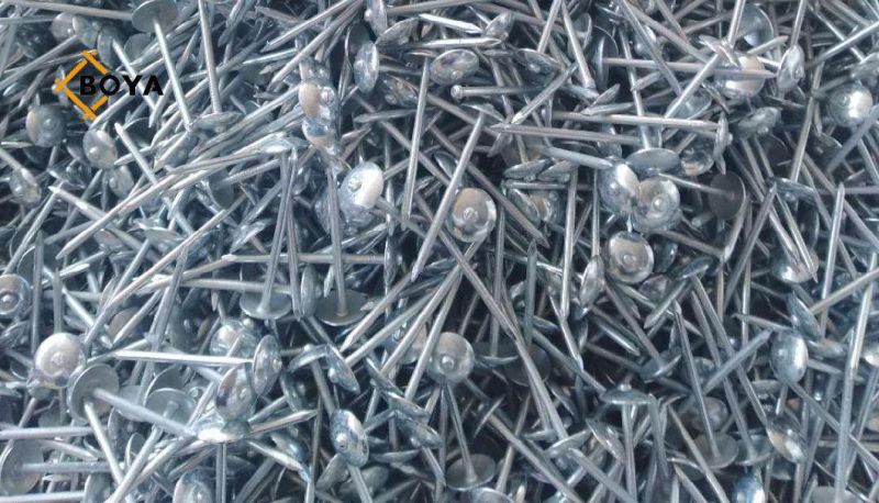 Good Quality Galvanized Umbrealla Head Roofing Nails Made in China