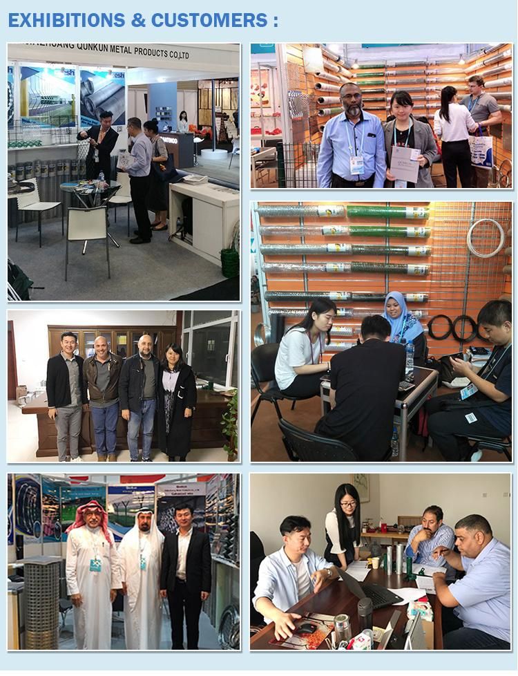 20 Years Experience Factory Cheap Price Umbrella Head Brad Roofing Nails