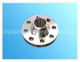 Stainless Steel WN Flange (SS304, SS316)