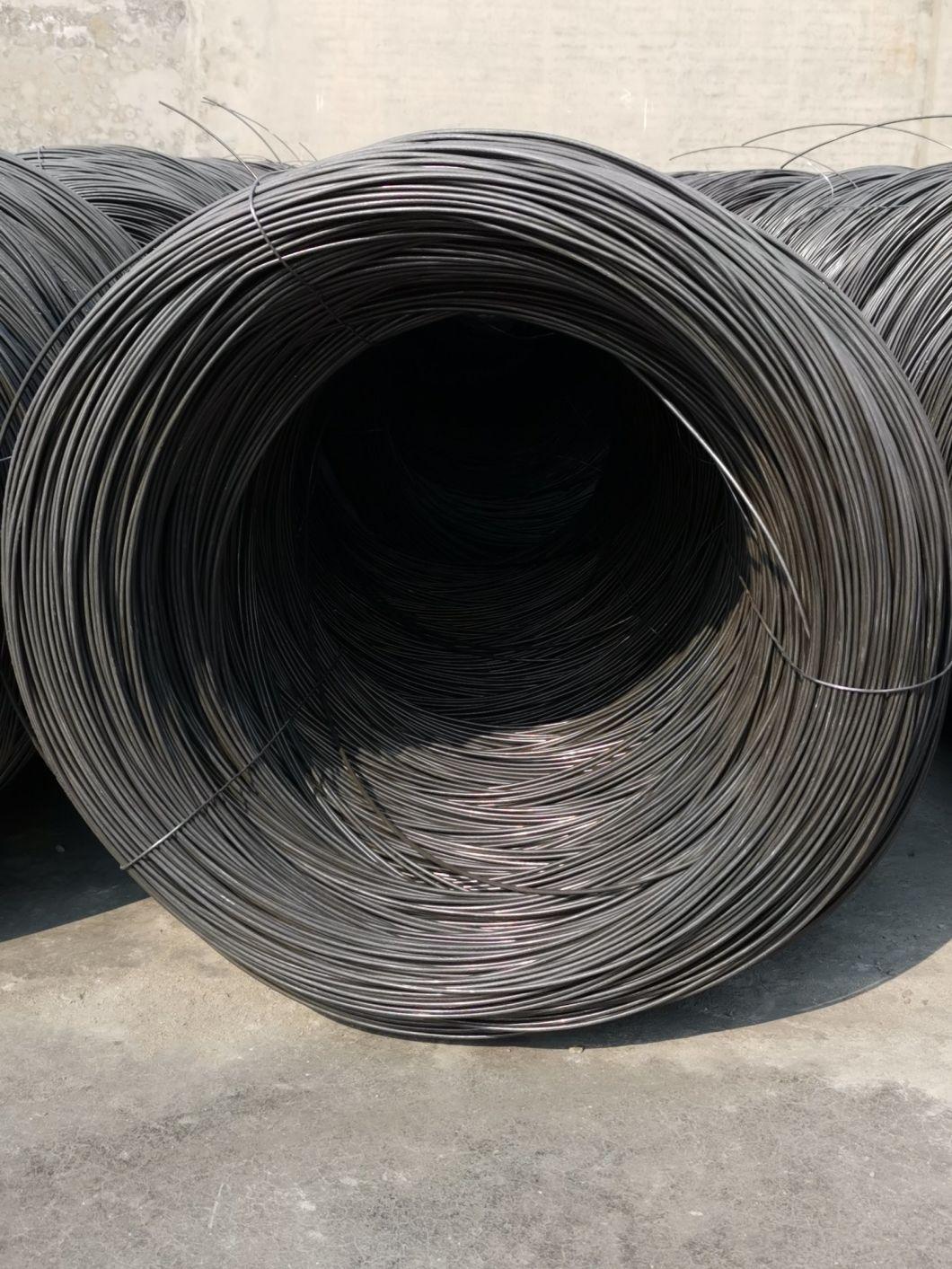 Ring Shank Steel Wire Common Nails with Factory Price