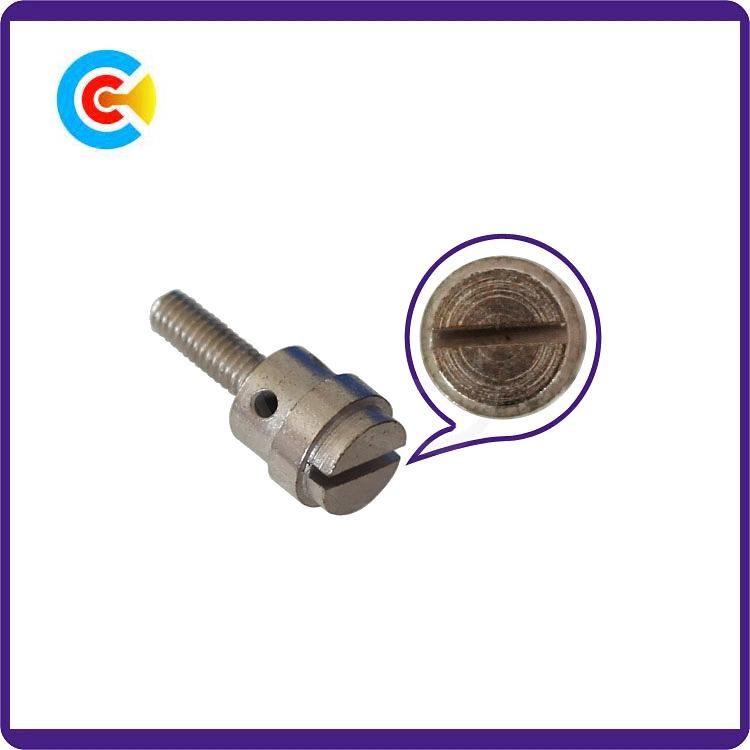 DIN/ANSI/BS/JIS Carbon-Steel/Stainless-Steel 4.8/8.8/10.9 Chorme Slotted Head Screws for Machinery/Industry Screws