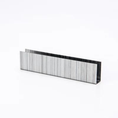 Top Quality Different Sizes of 4mm, 6mm and 8mm Pins Staples From China