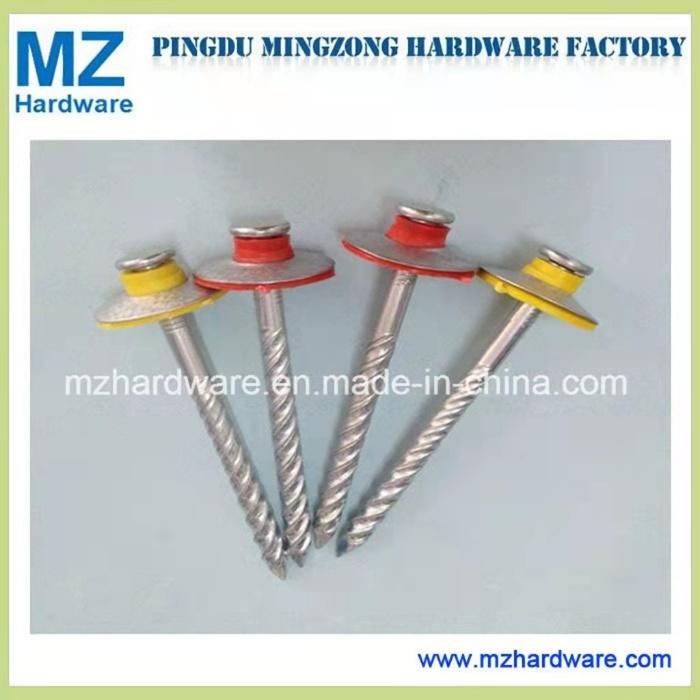 Eletro-Galvanized Nail Screw Shank Nail Roofing Nail with Factory Price