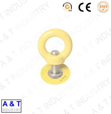 China Manufacturer High Quality Eyebolt En795