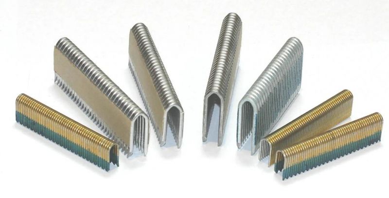 1-9/16-Inch Fence Staples for Wire Fence