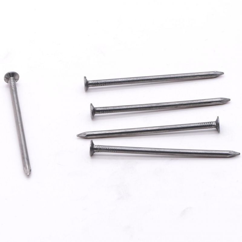 Boya Factory Supply Hardware/Iron Nail/Common Nail with Hot Dipped