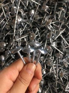 Electric Galvanized Umbrella Head Roofing Nails with Rubber