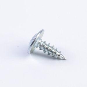 Factory Price Carbon Steel /Ss Steel Zinc Plated Self-Tapping Screw with Pan Head