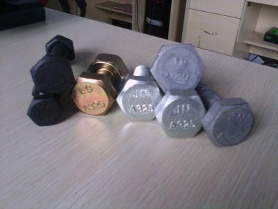 M20*60 A325 Hex Bolt with A563 Hex Nut