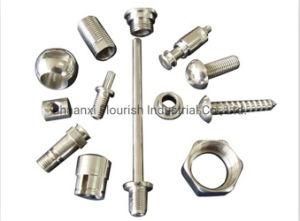 Customized Precision Fastener with Abnormal Shape or Special Material