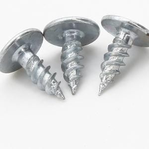 1022 # Steel Galvanzied Washer Screw