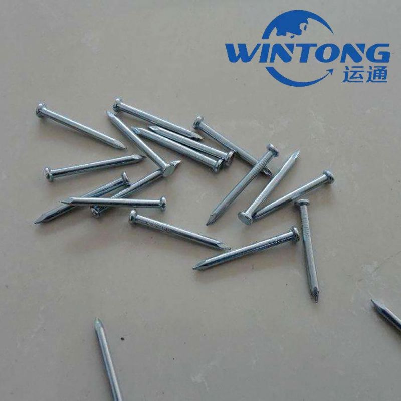Qualified Zinc Coated Electric Galvanized Concrete Steel Nails with White Blue Color