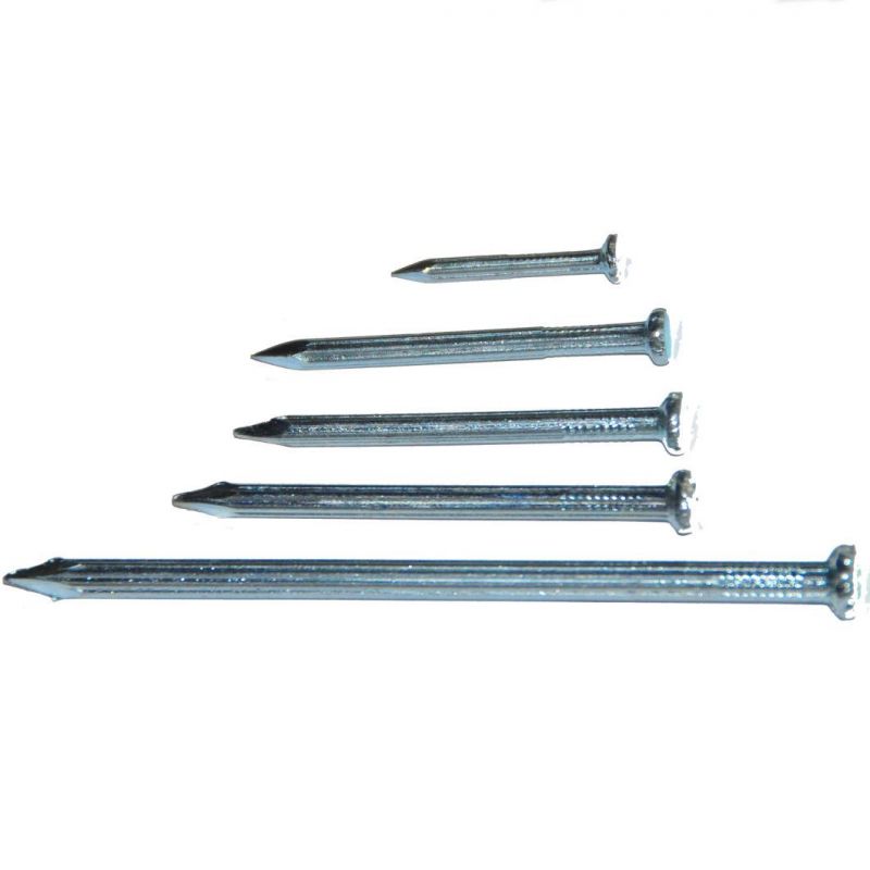 Construction Steel Big Size Nails Concrete Nail Sizes 25 mm