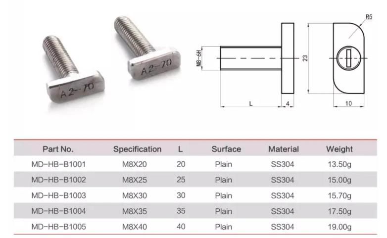 Customized Stainless Steel &Carbon Steel T Hammer Head T Screw Bolts Made in China