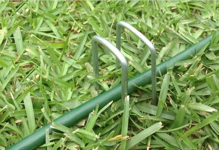 6′′ Length Garden Ground SOD Staples U Pegs U Shape Pins U Stakes